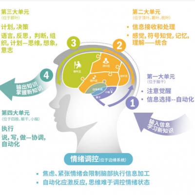 面向未来的通识课-12如何训练孩子的大脑？.mp3